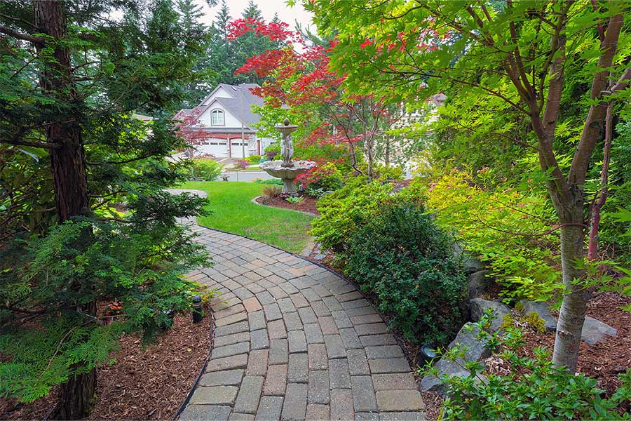 hardscaped walkway with bricks surrounded by plants